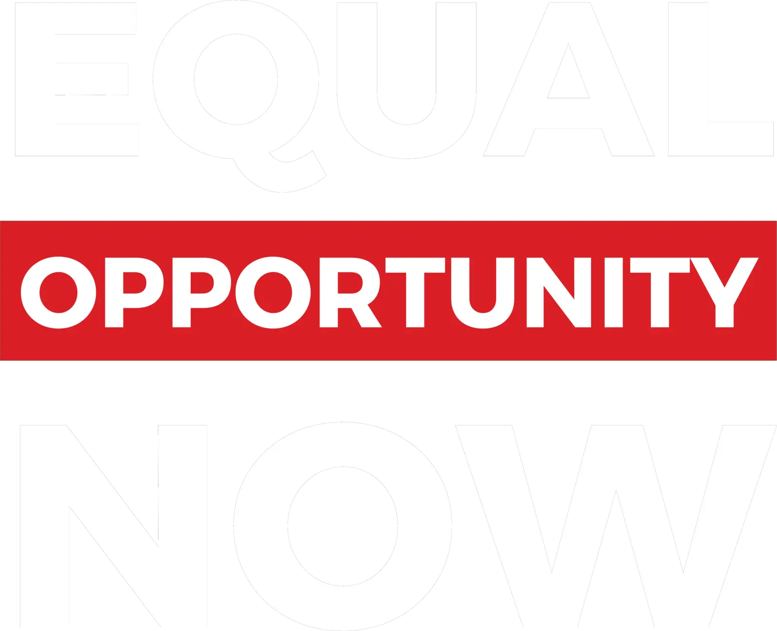Equal Opportunity Now logo